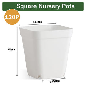 BTPLASTIK 3.5-inch seed-starting pots for office or greenhouse setups