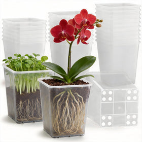 BTPLASTIK nursery pots with a 6-inch clear top opening for easy planting and monitoring.