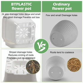 BTPLASTIK orchid-friendly square pot supports healthy root breathing.