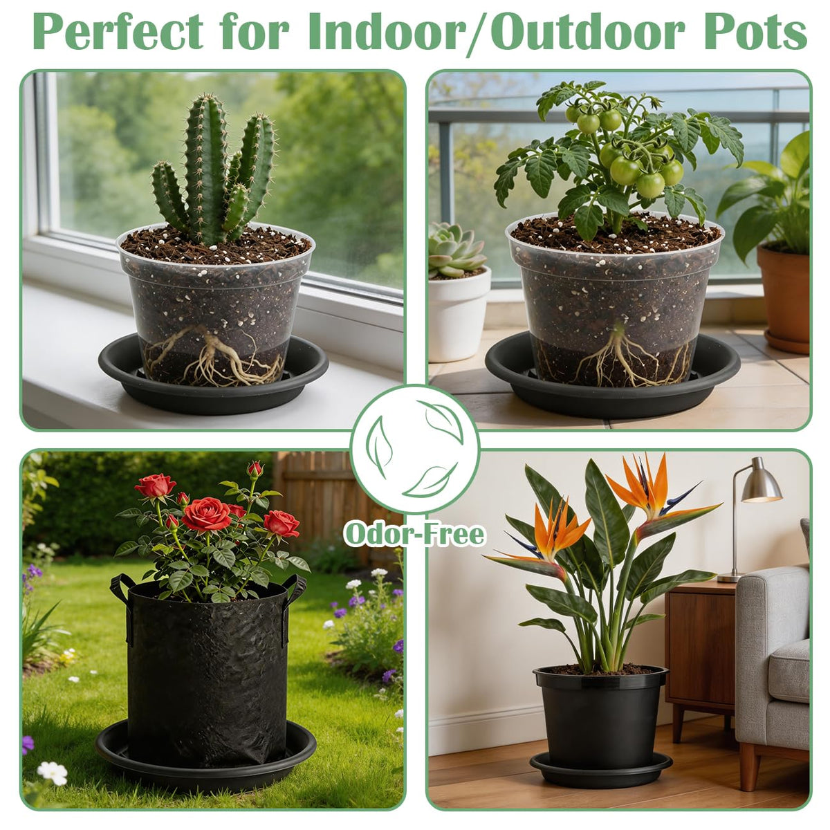 BTPLASTIK Five-Pack Saucers ready for versatile plant protection