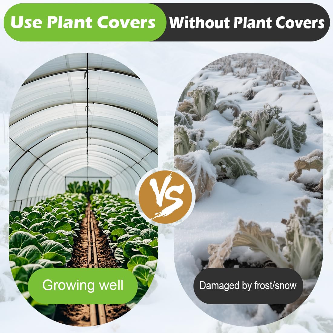 BTPLASTIK plant cover in 10x50ft format protects long beds and trees.