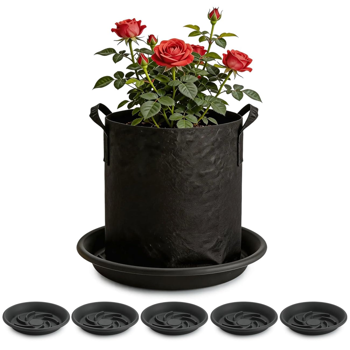 BTPLASTIK Plant Saucer 12-Inch 5-Pack: top view catches excess water to protect surfaces