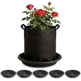 BTPLASTIK Plant Saucer 12-Inch 5-Pack: top view catches excess water to protect surfaces