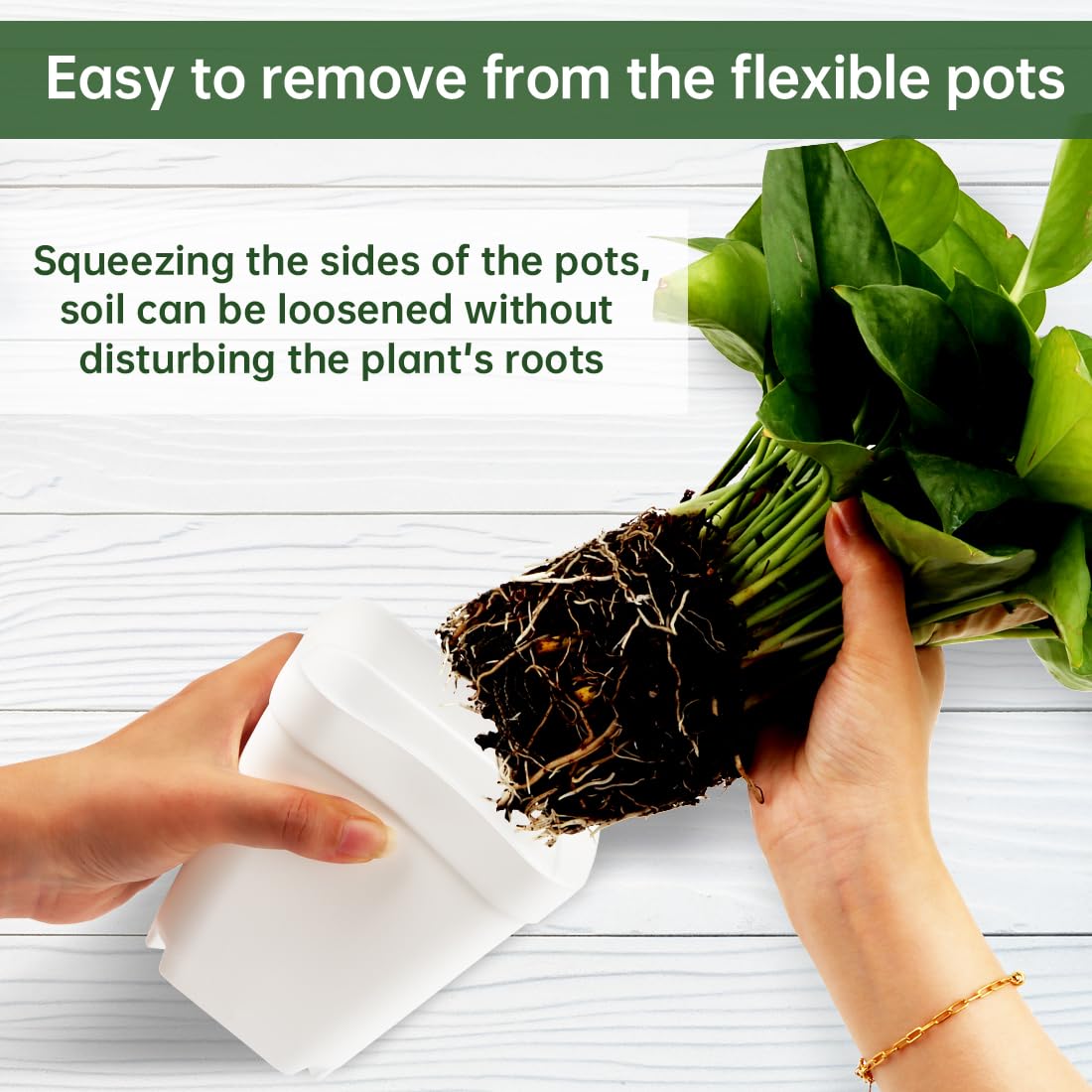 BTPLASTIK seed-starting pot in white designed for easy seed germination