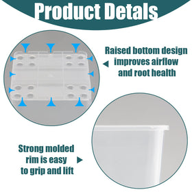 BTPLASTIK seed starting pots with drainage holes promote healthy root growth and prevent overwatering.