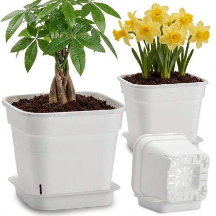 BTPLASTIK six-inch square pot with saucer promotes efficient drainage and neat surfaces.