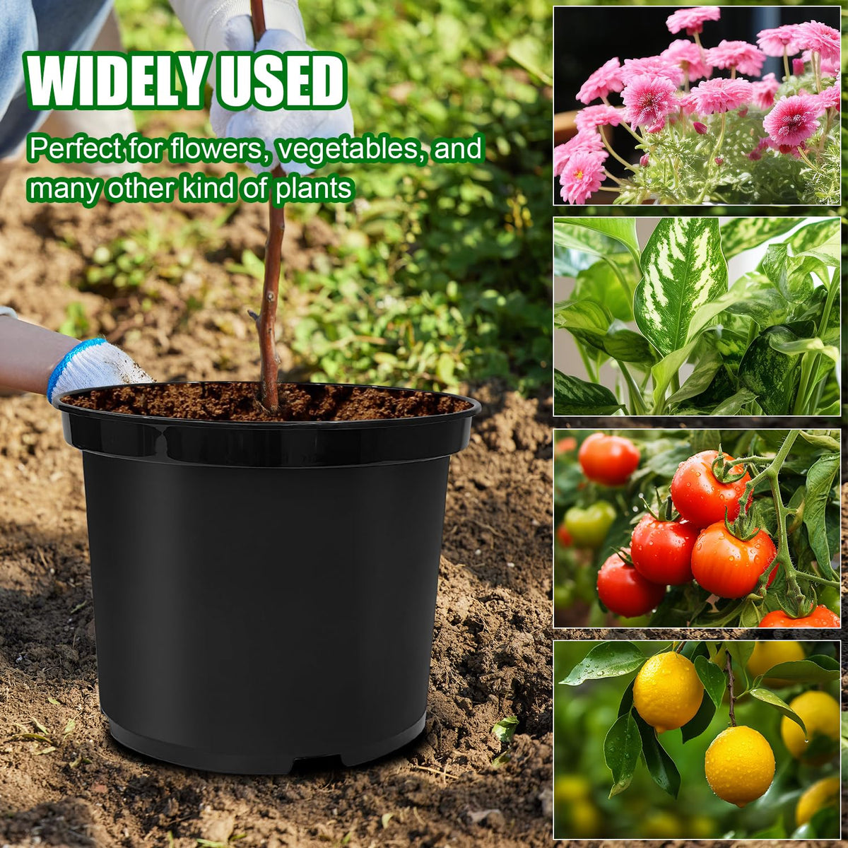 BTPLASTIK six-pack supports multiple planting projects at once