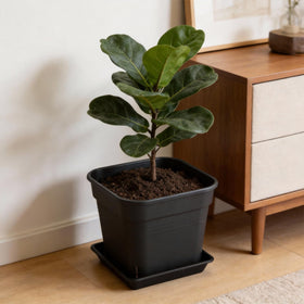 BTPLASTIK space-saving design fits desks and shelves in small spaces.
