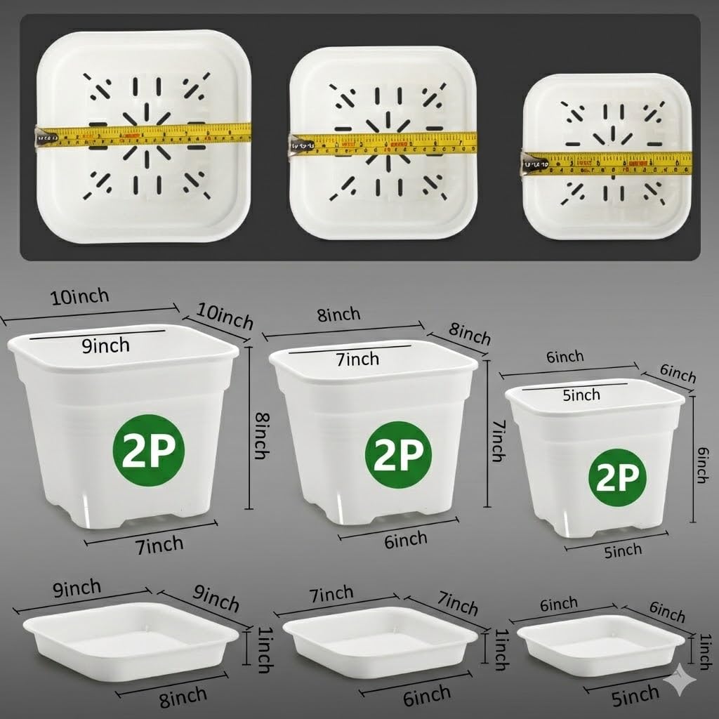 BTPLASTIK square design increases soil volume for robust root growth.