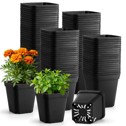 BTPLASTIK square nursery pot 2.7 inch with drainage holes supports seedling growth.