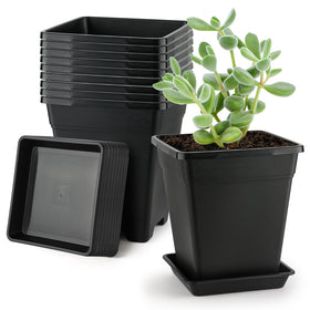 BTPLASTIK square planter 8 inch, top view, rugged matte black for balconies.