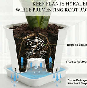 BTPLASTIK square planter raised-dome drainage promotes robust root oxygenation