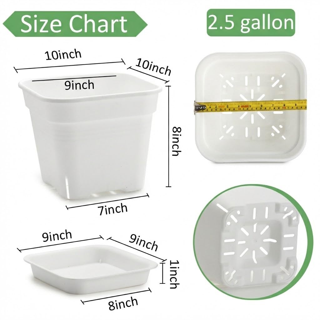 BTPLASTIK square planter with easy moisture checks via accessible corners