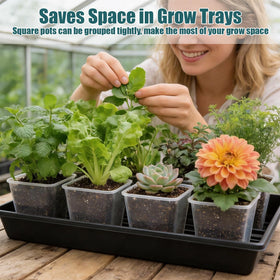 BTPLASTIK stackable nursery pots save space while organizing seedlings for easy reuse.