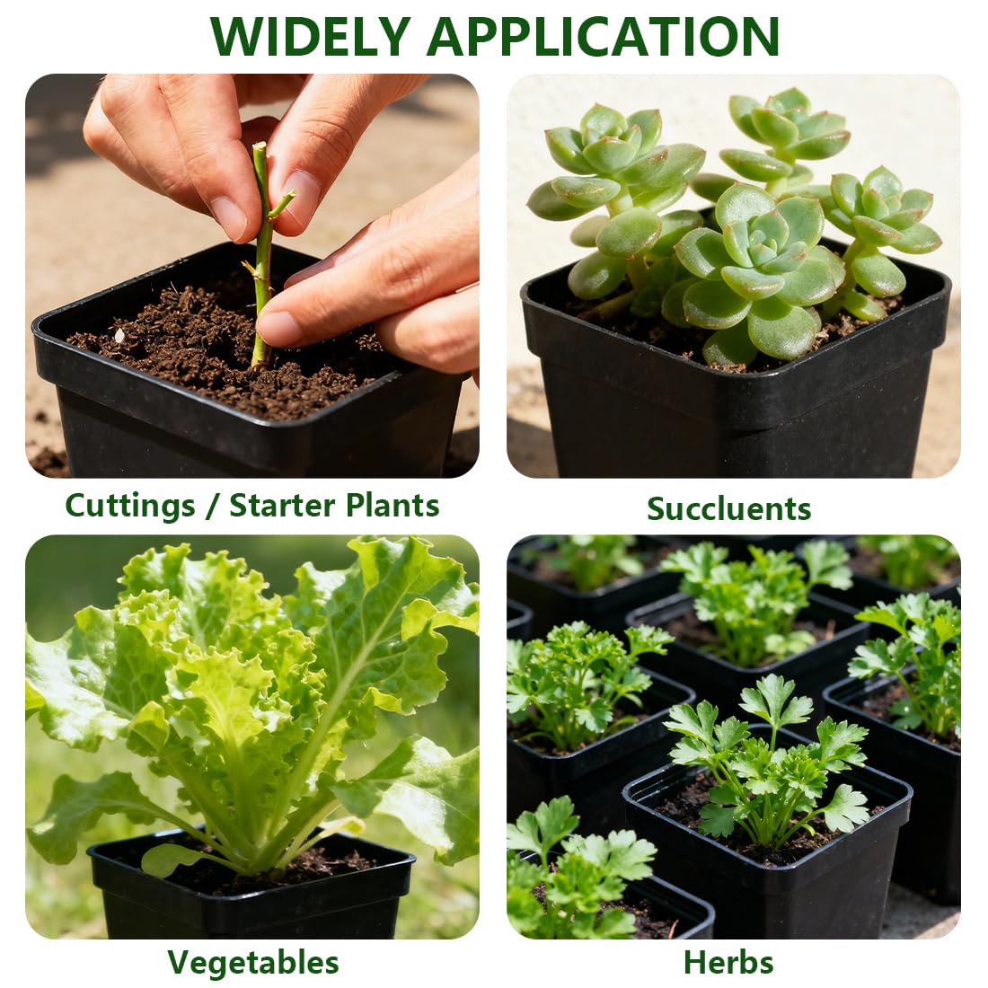BTPLASTIK sturdy plastic nursery pot suited for cuttings and transplanting.