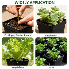 BTPLASTIK sturdy plastic nursery pot suited for cuttings and transplanting.