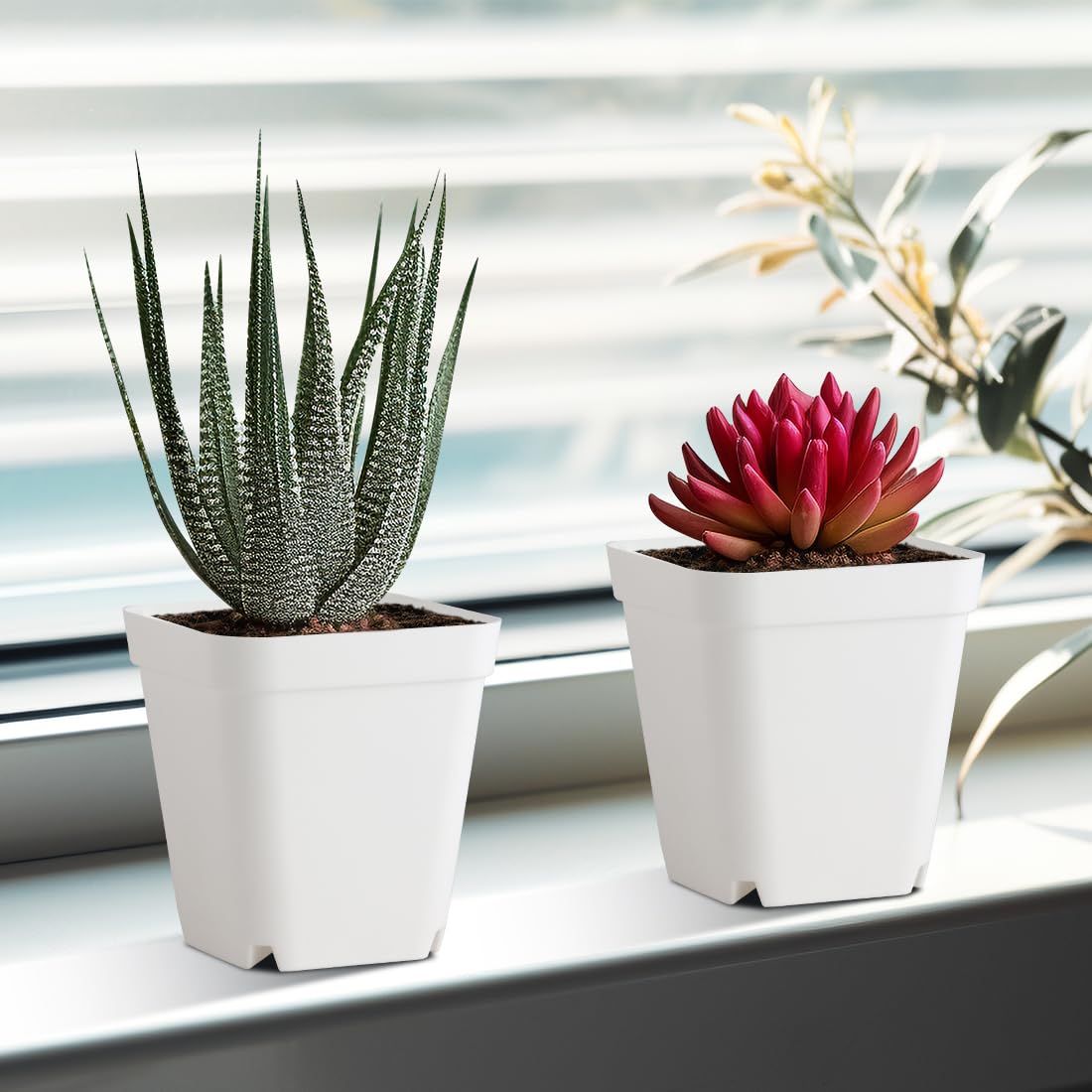 BTPLASTIK 4-inch white succulent pot suitable for delicate cuttings