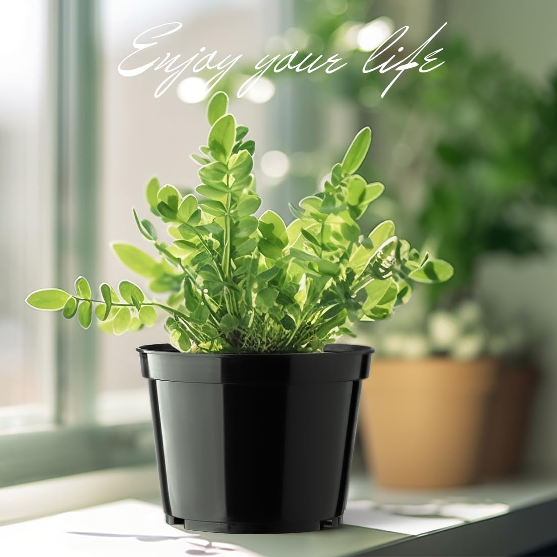 BTPLASTIK succulents and herbs fit neatly in durable pots