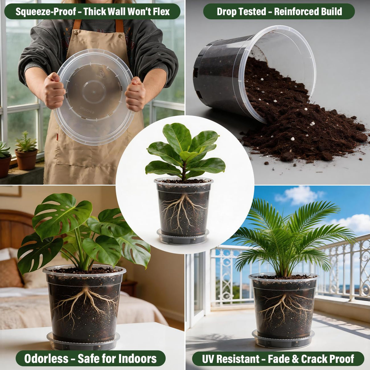 BTPLASTIK transparent root-health pot lets you inspect roots while watering.