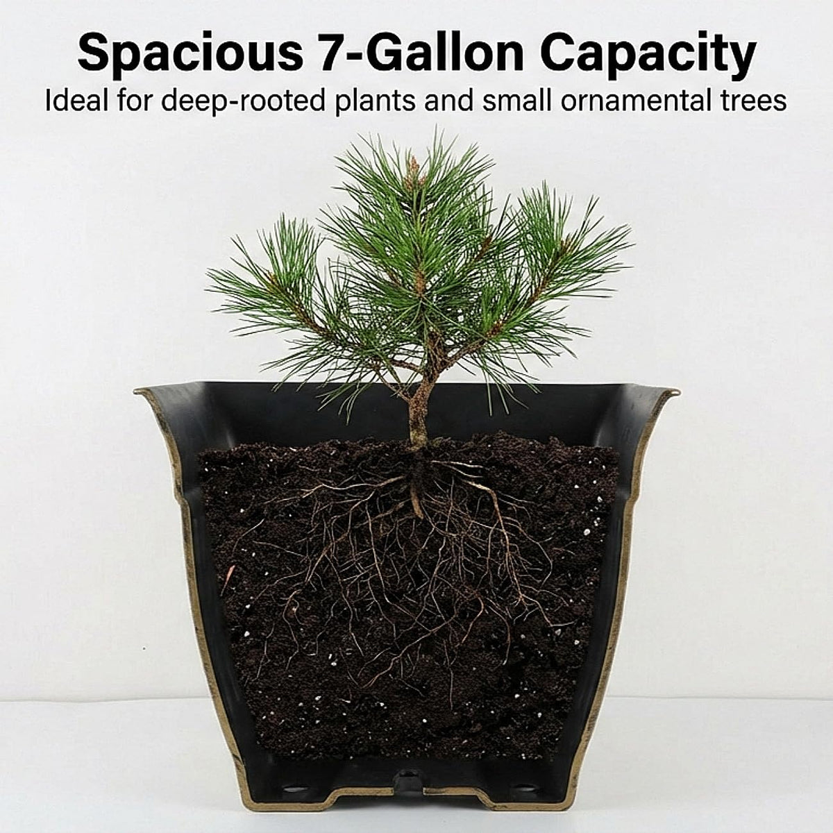 BTPLASTIK four-pack heavy-duty planters provide versatile garden decor for patios and balconies