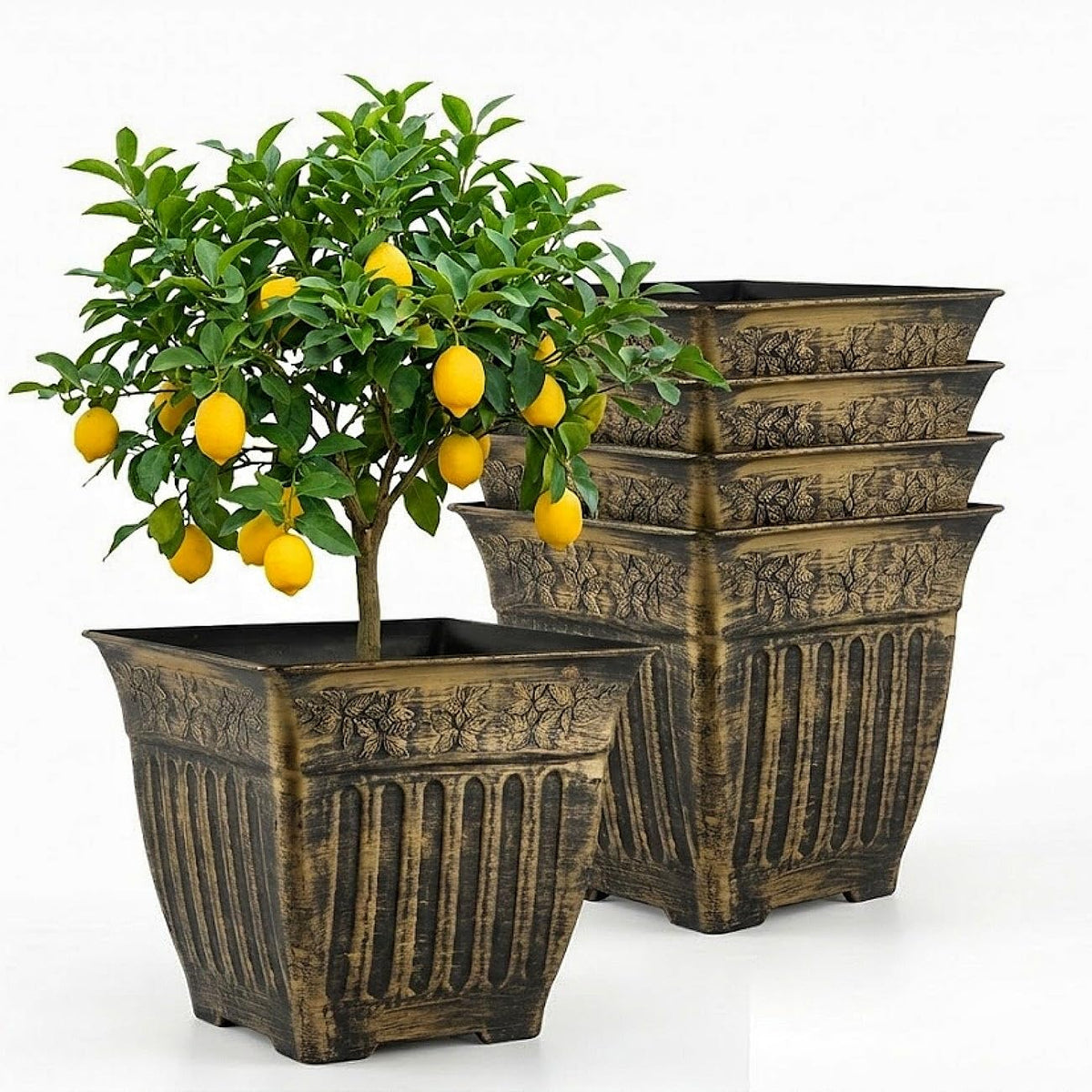 BTPLASTIK vintage square planter with gold distressed finish adds elegant curb appeal to outdoor spaces