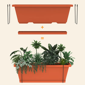 BTY drainage holes and removable tray promote soil aeration and easy watering.