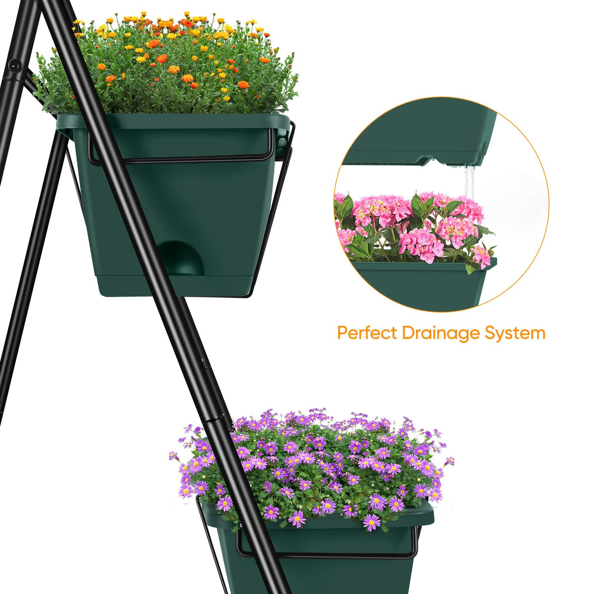 BTY three-tier design ensures all plants receive light with stepped arrangement.