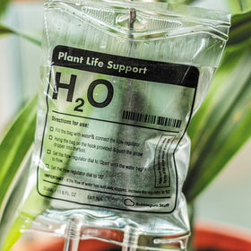 Bubblegum Stuff Plant Life Support drip feeding action shows low-maintenance watering