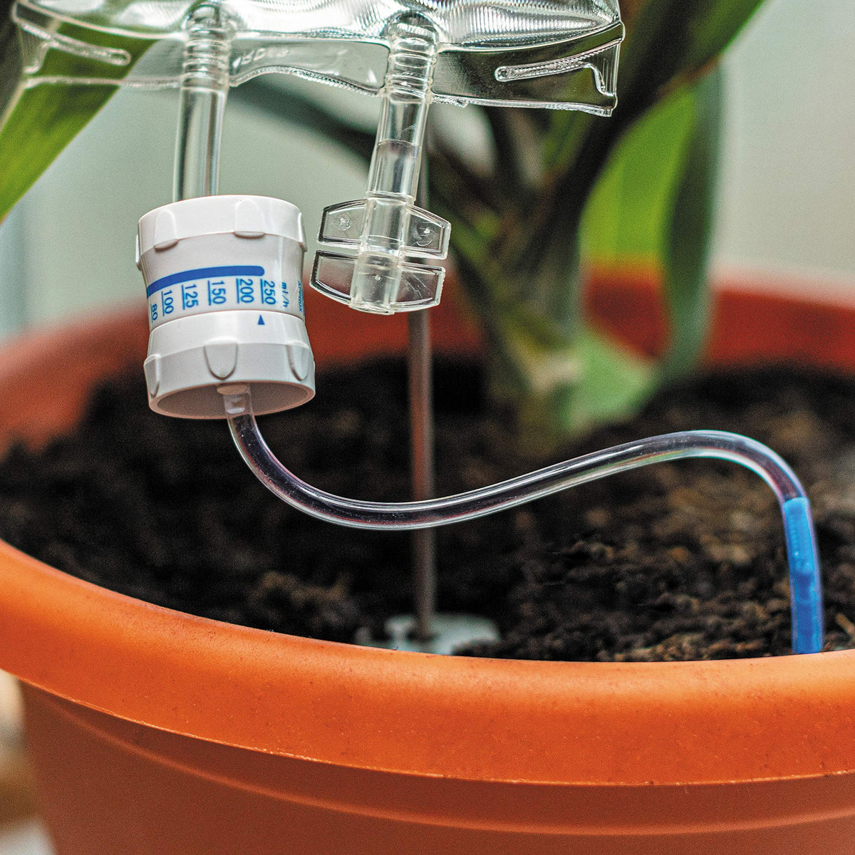 Bubblegum Stuff Plant Life Support holiday gift idea for plant lovers