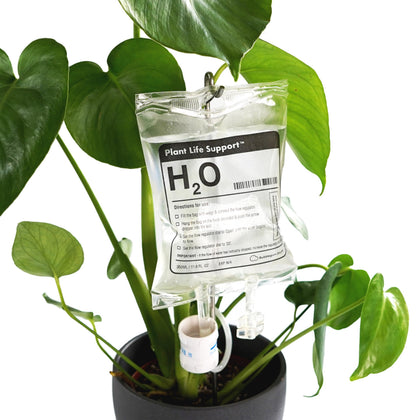 Bubblegum Stuff Plant Life Support packaging shows gift-ready presentation for plant lovers