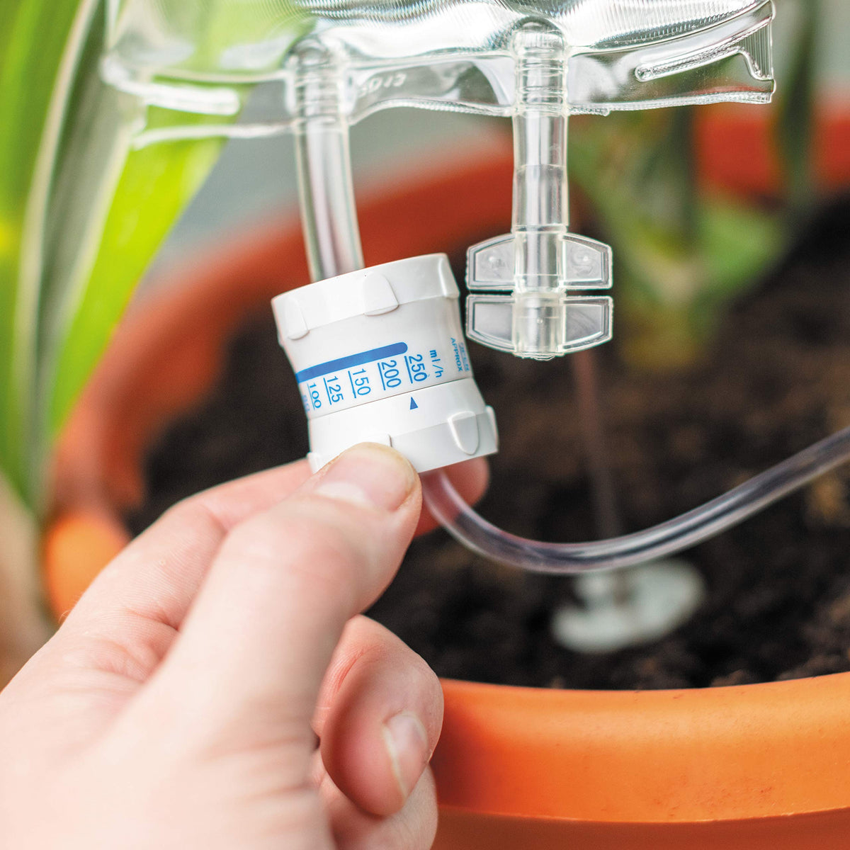Bubblegum Stuff Plant Life Support plant pot setup demonstrates easy drip feed