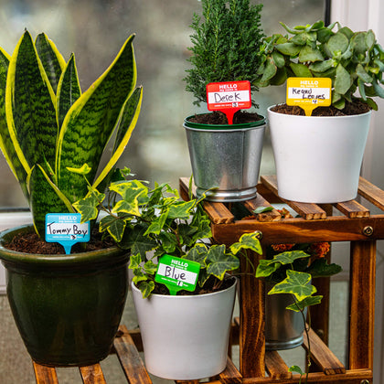 Bubblegum Stuff Plant Name Badges red label for clear plant identification.