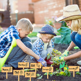 Bucherry 15-pack herb labels keep pots organized and accessible