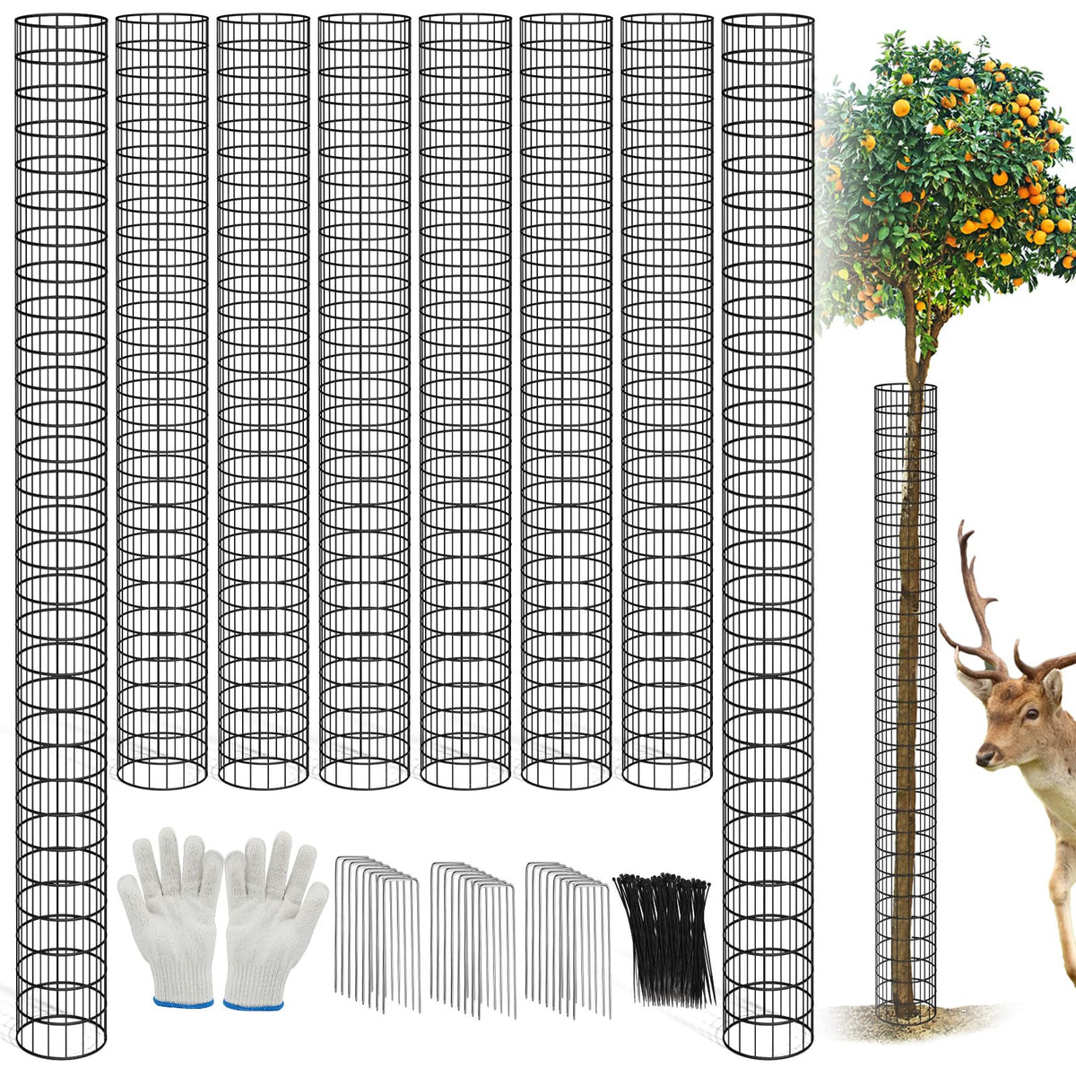 Budiwati 8-piece metal tree trunk guards around a sapling for bark protection.