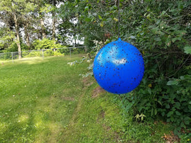 Bug Ball Deer Fly Ball Trap installation in sunlit yard highlights safe, pesticide-free pest management