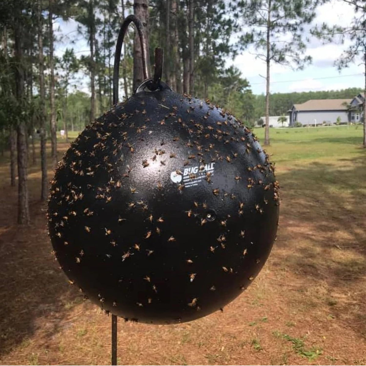 Bug Ball Starter Kit deer fly trap in garden.