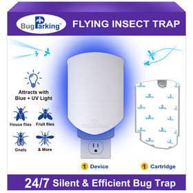 Bug Parking trap front view with UV light attracting gnats indoors