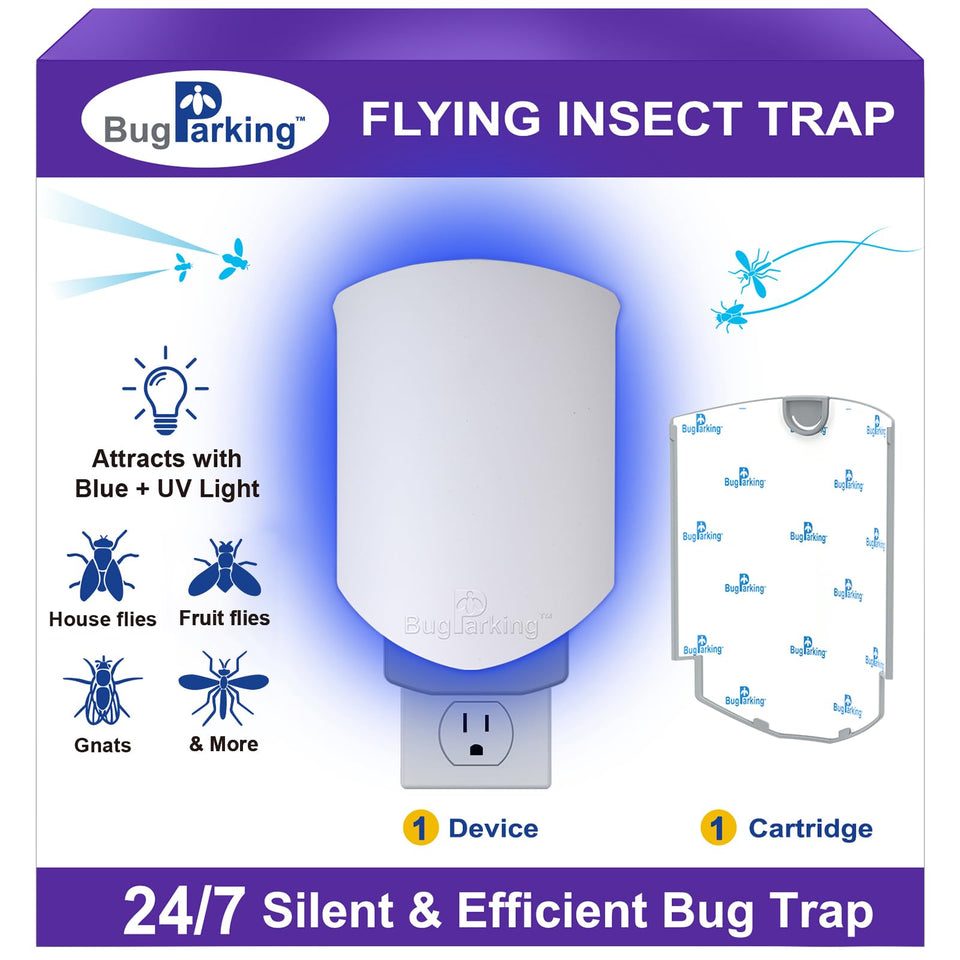 Bug Parking trap front view with UV light attracting gnats indoors