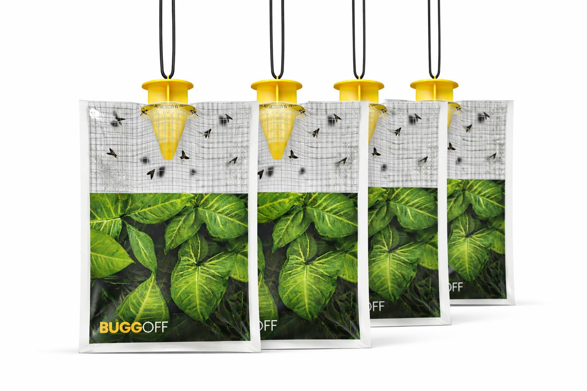 BUGGOFF outdoor setup with disposable fly trap ready to reduce flies outdoors