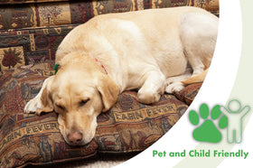 BuggyBeds 12-pack display model illustrating long-term detection up to six months.