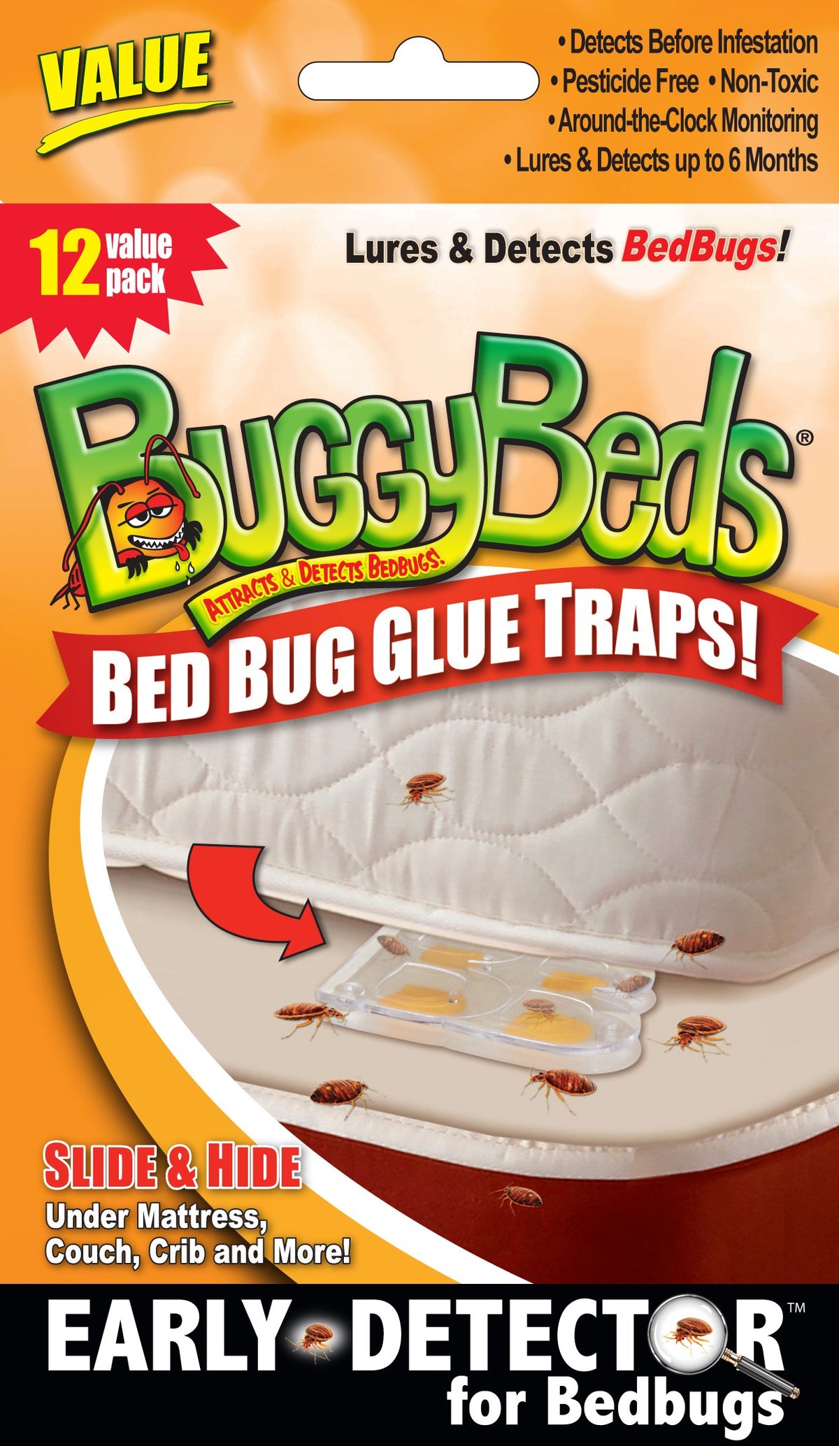 BuggyBeds bed bug glue trap close-up, compact 2x3 inch monitor for discreet detection.