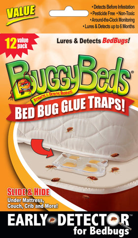 BuggyBeds bed bug glue trap close-up, compact 2x3 inch monitor for discreet detection.