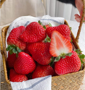 BuggyBeds beginner-friendly seeds with easy care and germination.