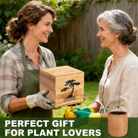 BuggyBeds bonsai care guide included for confident beginners.