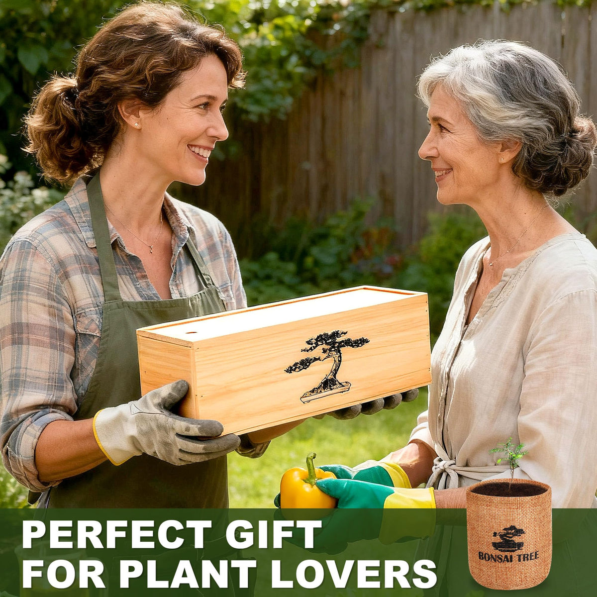 BuggyBeds bonsai kit gift packaging makes a ready gift for plant lovers.