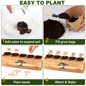 BuggyBeds bonsai kit pruning tweezers help careful shaping.