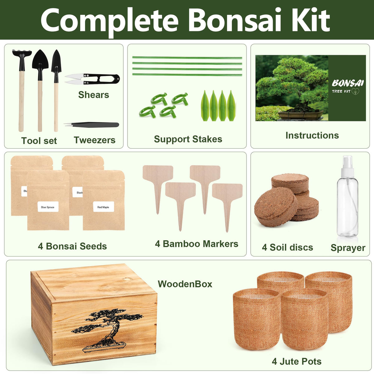 BuggyBeds bonsai seed packets showing five varieties for beginners.