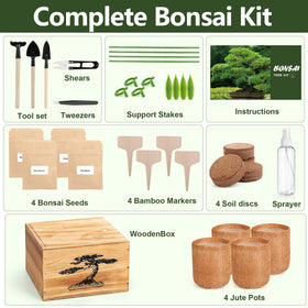 BuggyBeds bonsai seed packets showing five varieties for beginners.