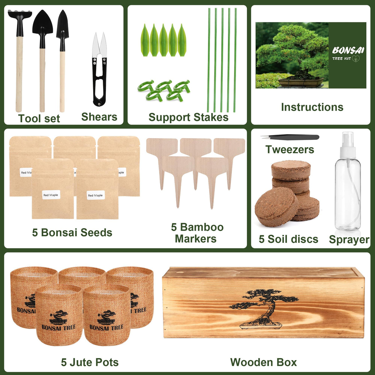 BuggyBeds bonsai kit seeds collection shows five varieties for indoor growth.