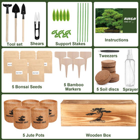 BuggyBeds bonsai kit seeds collection shows five varieties for indoor growth.